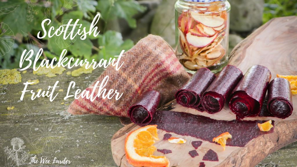 Blackcurrant Fruit Leather Recipe Image